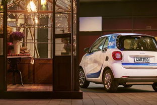 低速電動車轉(zhuǎn)型受阻 SEV封存與汽車租賃的新出路